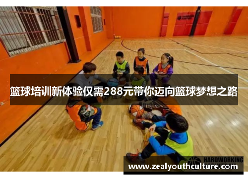 篮球培训新体验仅需288元带你迈向篮球梦想之路