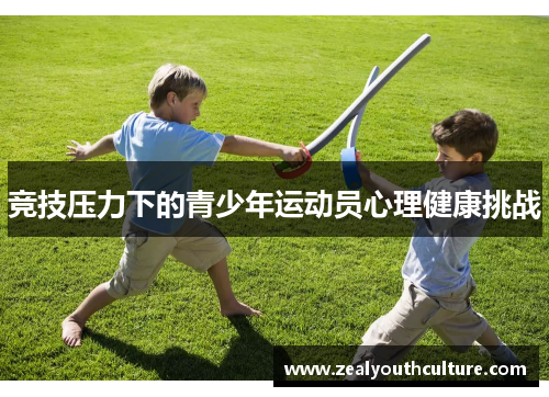 竞技压力下的青少年运动员心理健康挑战