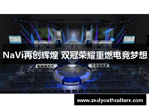 NaVi再创辉煌 双冠荣耀重燃电竞梦想