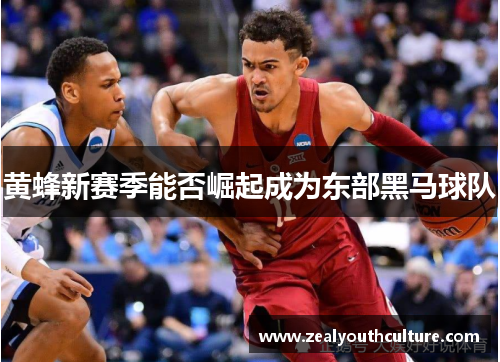 黄蜂新赛季能否崛起成为东部黑马球队