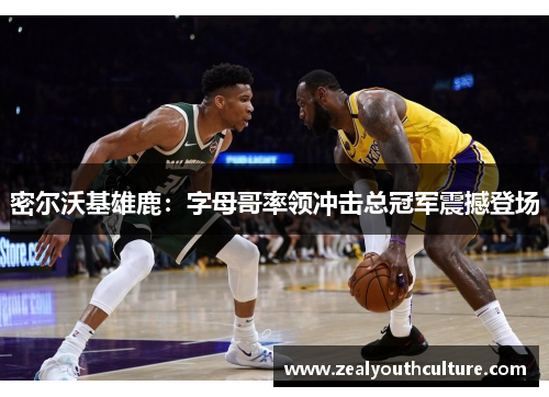 密尔沃基雄鹿：字母哥率领冲击总冠军震撼登场
